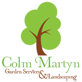 Colm Martyn logo