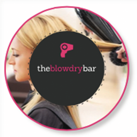 the blowdry bar logo