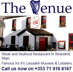 The Venue logo
